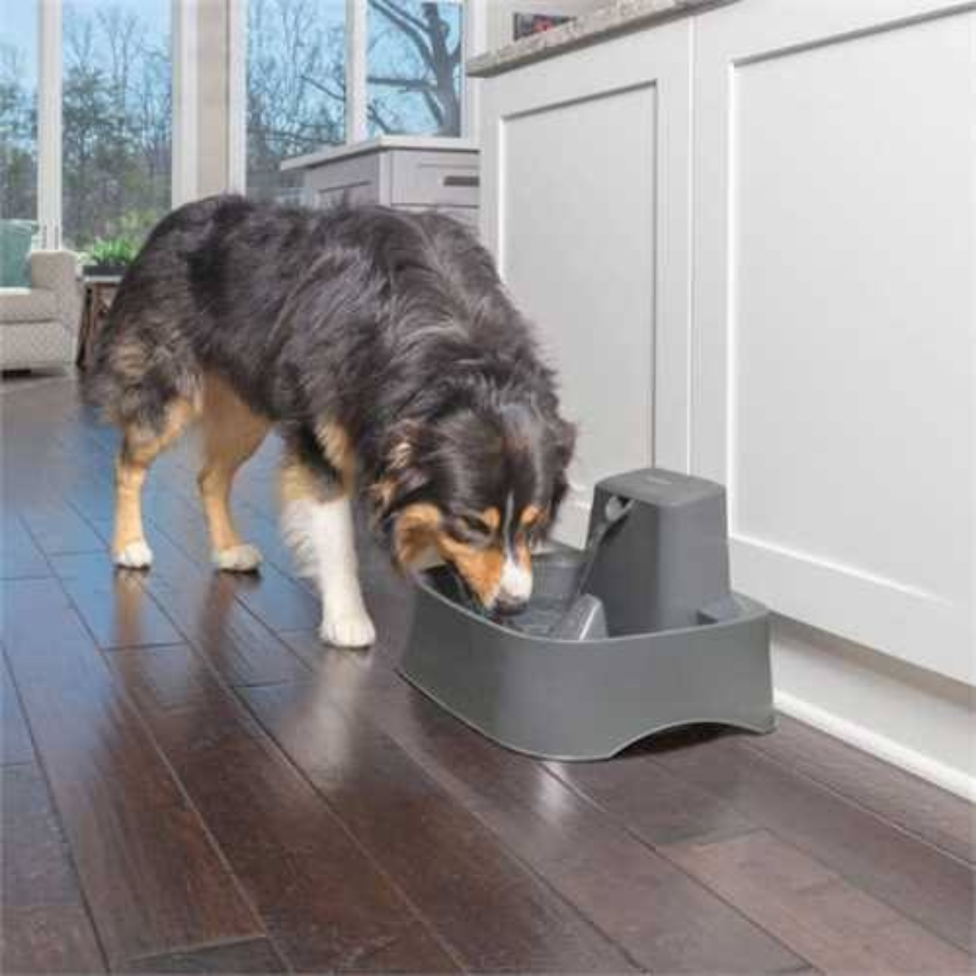 PetSafe Drinkwell 1.8L Pet Fountain for Cats & Small Dogs